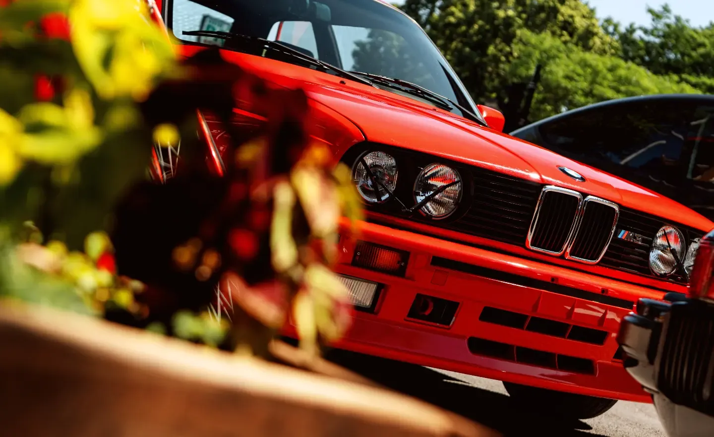 A red BMW E30 M3 seen through summer foliage.