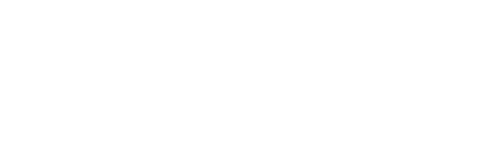 Holand Automotive Group